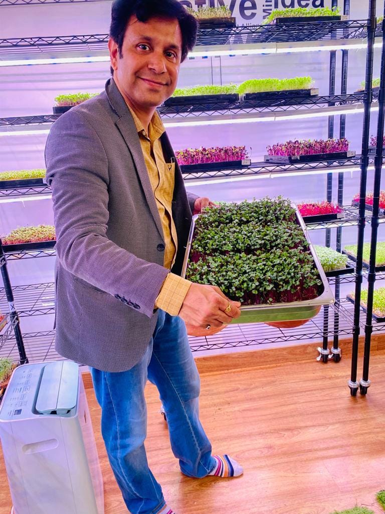 Mohit Nijhawan in commercial vertical microgreens farm facility