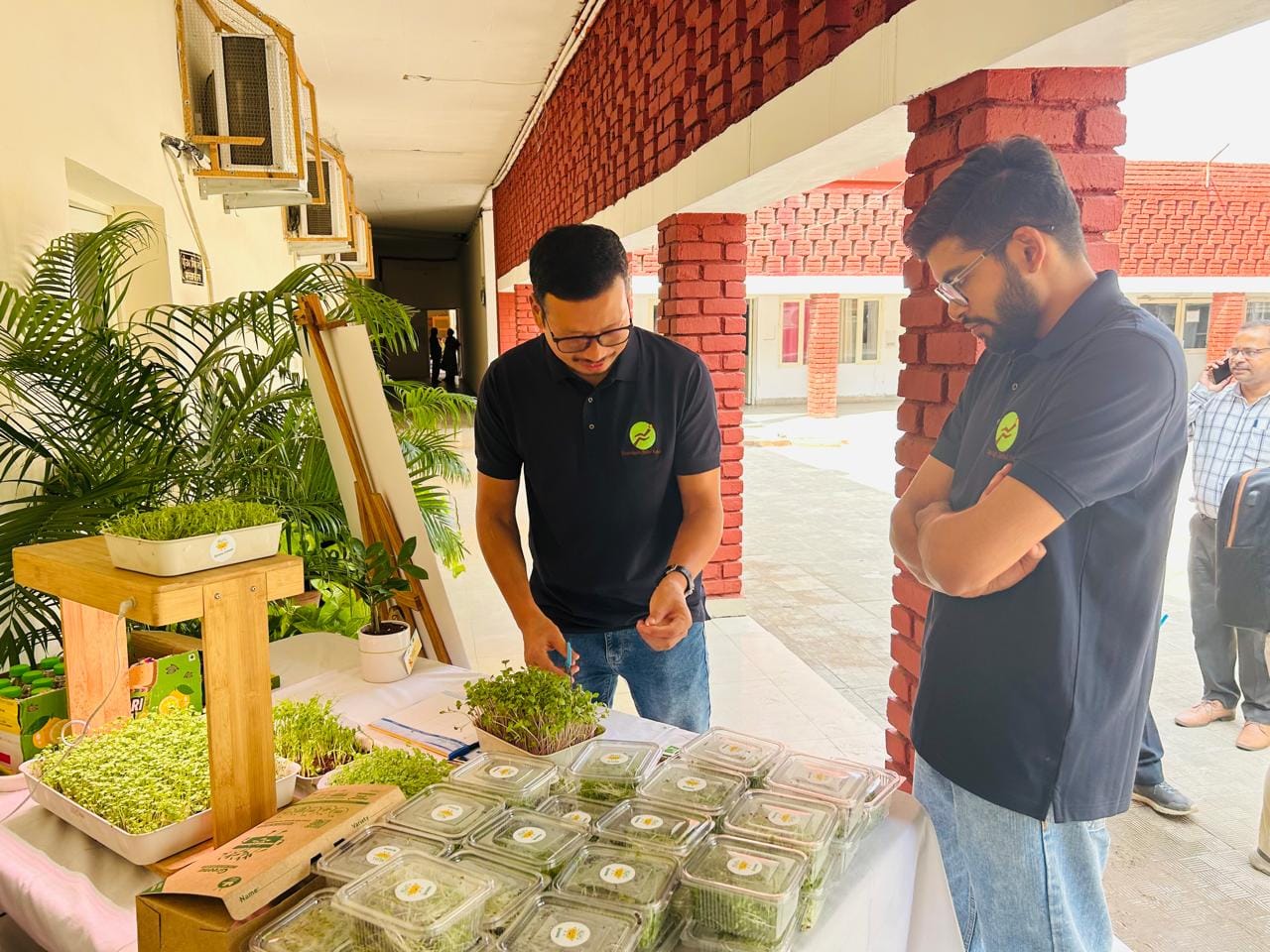 Freshly grown microgreen trays and Greenu packaging display