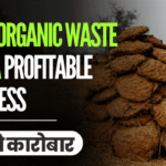 How to Sell Cow Dung Online – A Step by Step Guide