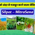 Silpot क्या है और कैसे काम करता है? पूरा लेख पढ़ें