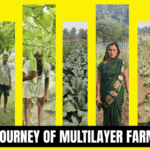 How a 10-Acre Pilot Transformed MuradNagar Farming Landscape