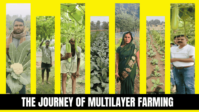 How a 10-Acre Pilot Transformed MuradNagar Farming Landscape