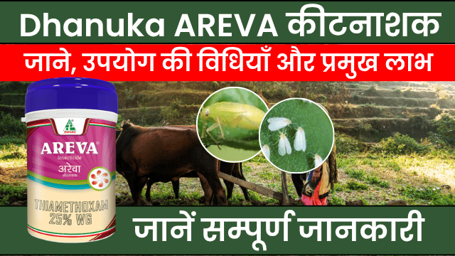 Areva (थायमेथॉक्सम 25% WG): धान, कपास और सब्जियों में सबसे असरदार कीटनाशक