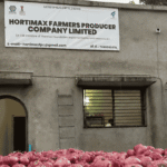 How Hortimax FPC Built a ₹3.5 Crore Integrated Onion Value Chain Business by Empowering 406 Farmers, Trading 1,800+ Tonnes & Exporting to Gulf Markets