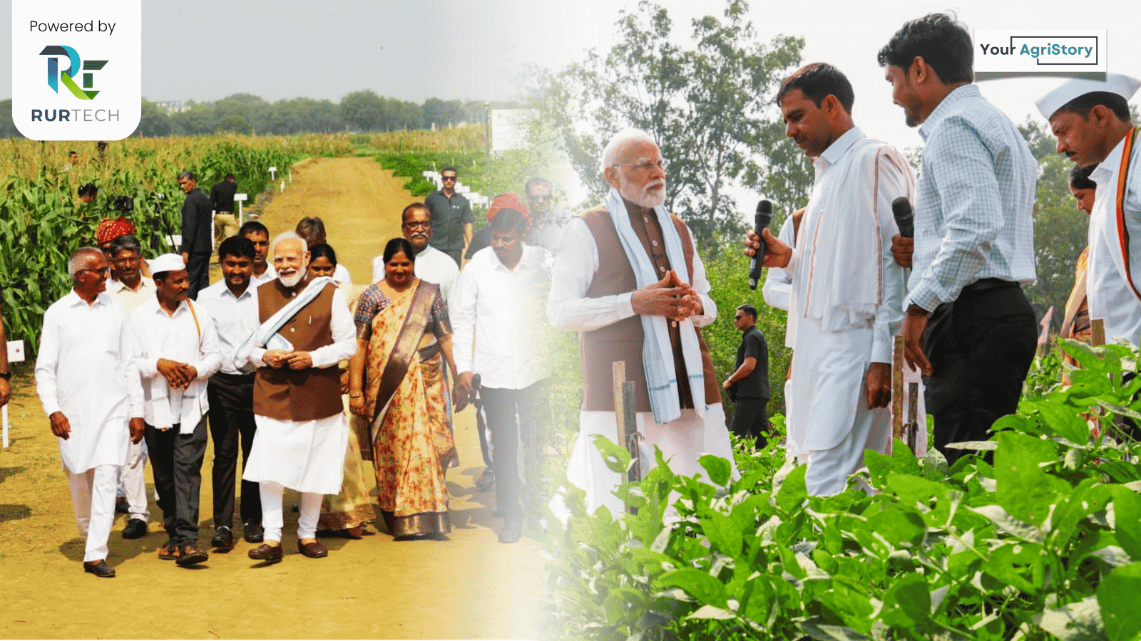 NimadFresh FPO: Building a ₹18 Crore+ Agribusiness with a Vision to Cross ₹50 Crore in a year