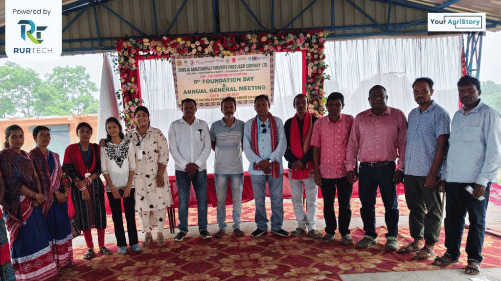 Floriculture and Global Exports Boost Income of 1,650 Farmers in Odisha’s Sabujasanatanpali FPC